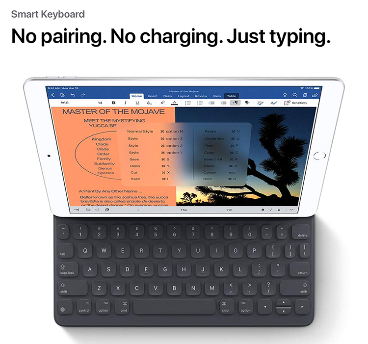 iPad Air 10.5 WiFi + Cellular 256GB New 2019 -  Hàng Chính Hãng