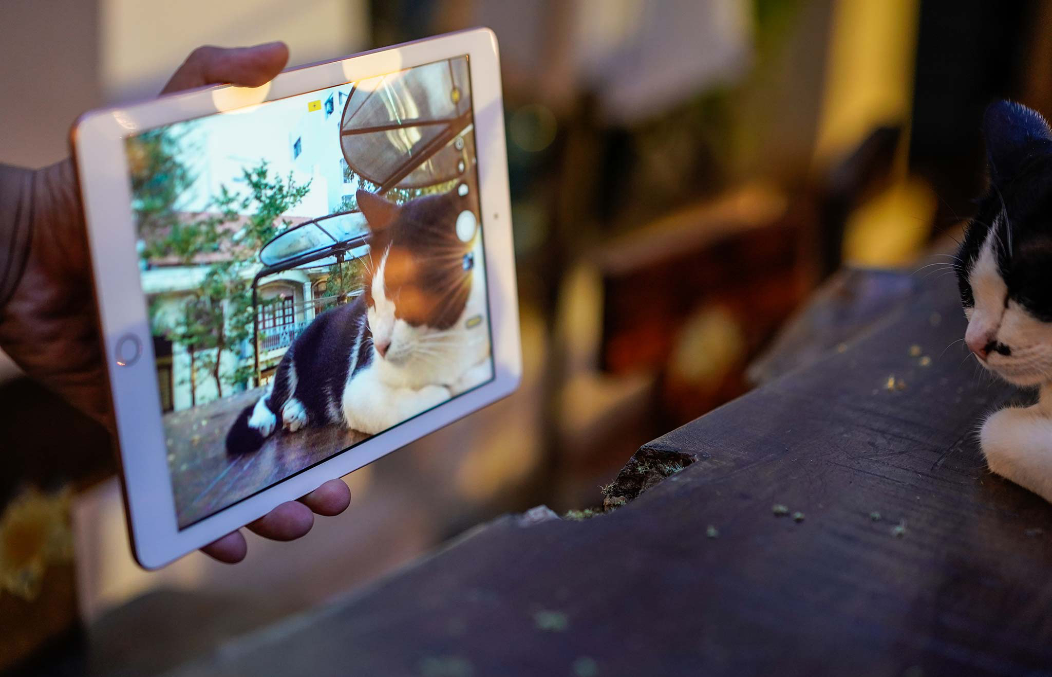 iPad WiFi 32GB New 2018 - Hàng Chính Hãng